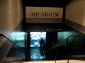 Acquario del Museo Oceanografico di Monaco Hotel Lucciola