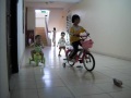 Click here to watch this video DSCN2707.AVI