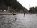 Idaho Fishing for Steelhead