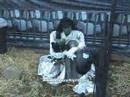 Head Turner Bride