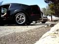 2006 Mustang GT H pypes and flowmaster axlebacks