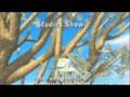 videos de Work at Parents with DFI and Coastal Travel