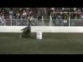 Manroe WA USA Rodeo