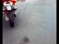 Aerox High End Aprilia Motorblock mit Yasuni 70ccm