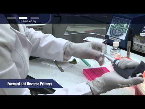 how to perform pcr