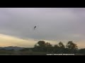New Scorpion hk-2221-6 and esc test flight