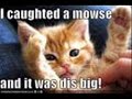 Most epic noise ever