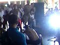 Tulile en bavaro