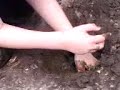 thomas fuller gets stuck!!