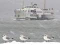?stanbul\ ?stanbul\