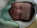 Nascimento ana luiza