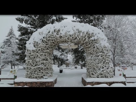Jackson Hole -- 400 Inches in the House