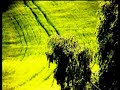 Procol Harum Cerdes