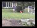 Chelsea as Krypto the super dog