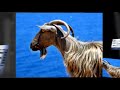 OSWALD DECOCK PHOTOGRAPHE CRETE oswdec3@scarlet.be