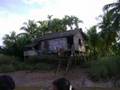 Perempuan Dusun Sumsel