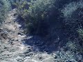 MTB Trails