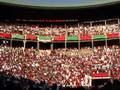 videos de Pamplona Toril Bull 3