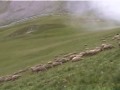 Wandeling Franse Alpen Col Du Sabot, Col Du Couard