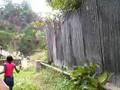 Walking-in-Kingston-