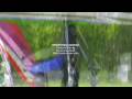 Video ansehen Video ansehen
