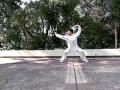 滄州八極拳HONGKONG CangZHou BaJi Quan(祝天京師傅示範片段)
