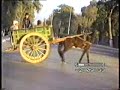 PESHAWAR city  pakistan