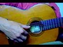 Rumba Flamenca Technique