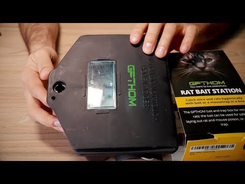 Safe for pets and children rat bait station GPTHOM
