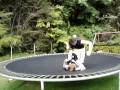 The Top 10 Moves Of Bobby Watson