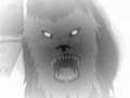 Dogman sighting in Northport