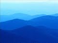 Confidence and Self-