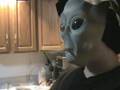 MY ALIEN ROOMATE 2 TRAILER