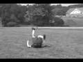 LUCRUM Cincinnati FROLF