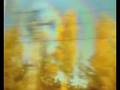videos de 14 October