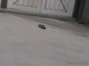 Xmod Drifting II