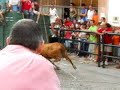 TORO CUERDA 2006 CARCABUEY SEP