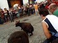 TORO CUERDA 2006 CARCABUEY SEP