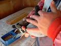 Hand Feeding Squeakers Part Two