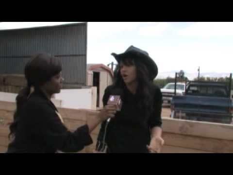 Persia White
