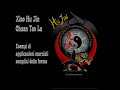 Sifu Franco Nocchi - Xiao Hu Jin Chuan Tao Lu - Applicazioni