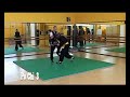 Sifu Franco Nocchi - Xiao Hu Jin Chuan Tao Lu - Applicazioni