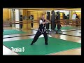 Sifu Franco Nocchi - Xiao Hu Jin Chuan Tao Lu - Applicazioni