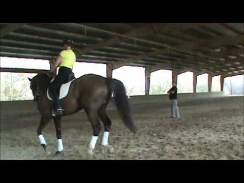 how to collect at the canter