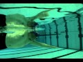 Side Kick/Shark Fin/616 Combo (0:01:50)