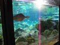 HongKong Ocean park 12