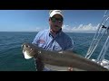 Addictive Fishing #99 - Mogan Mayhem