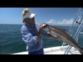 Addictive Fishing #99 - Mogan Mayhem