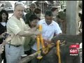 New baby elephant born in Phuket