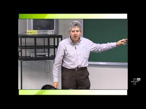 História das Relações Internacionais - Aula 13 - Os Sistemas Asiáticos: A Índia - Parte 2